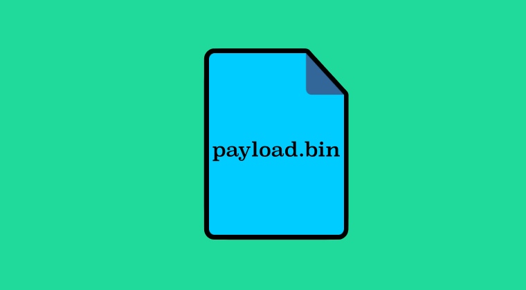 extract payload.bin